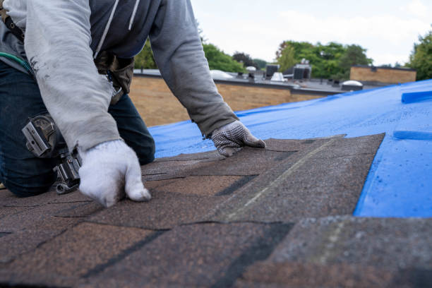 Best Storm Damage Roof Repair  in Murray, UT