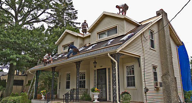 Best Roof Gutter Cleaning  in Murray, UT